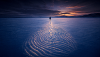 Perception Entanglement