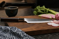Which Japanese Knife Steel Is Right for You?