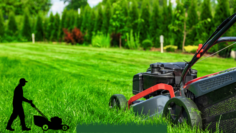 7 Benefits of Hiring a Lawn Care Service in Halifax