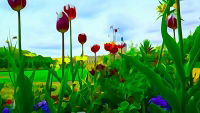 Elena: Reading from The Garden of Hope - Perfume. A story of growth.
