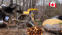 When Is the Best Time to Book a Wood Chipping Service in Halifax?