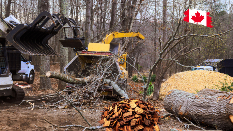 When Is the Best Time to Book a Wood Chipping Service in Halifax?