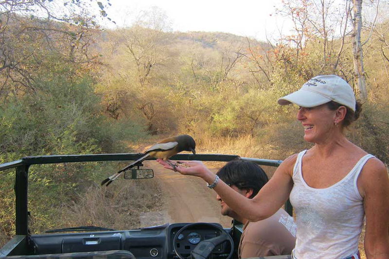 Bharatpur – Ranthambore Wildlife Tour: A Complete Guide for Wildlife Lovers