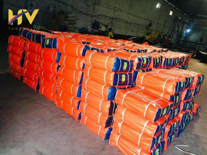 Phân loại và so sánh bạt xanh cam với bạt thông thường