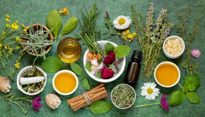Plant Based Personal Care Ingredients Market Landscape: Trends, Competition, and Growth