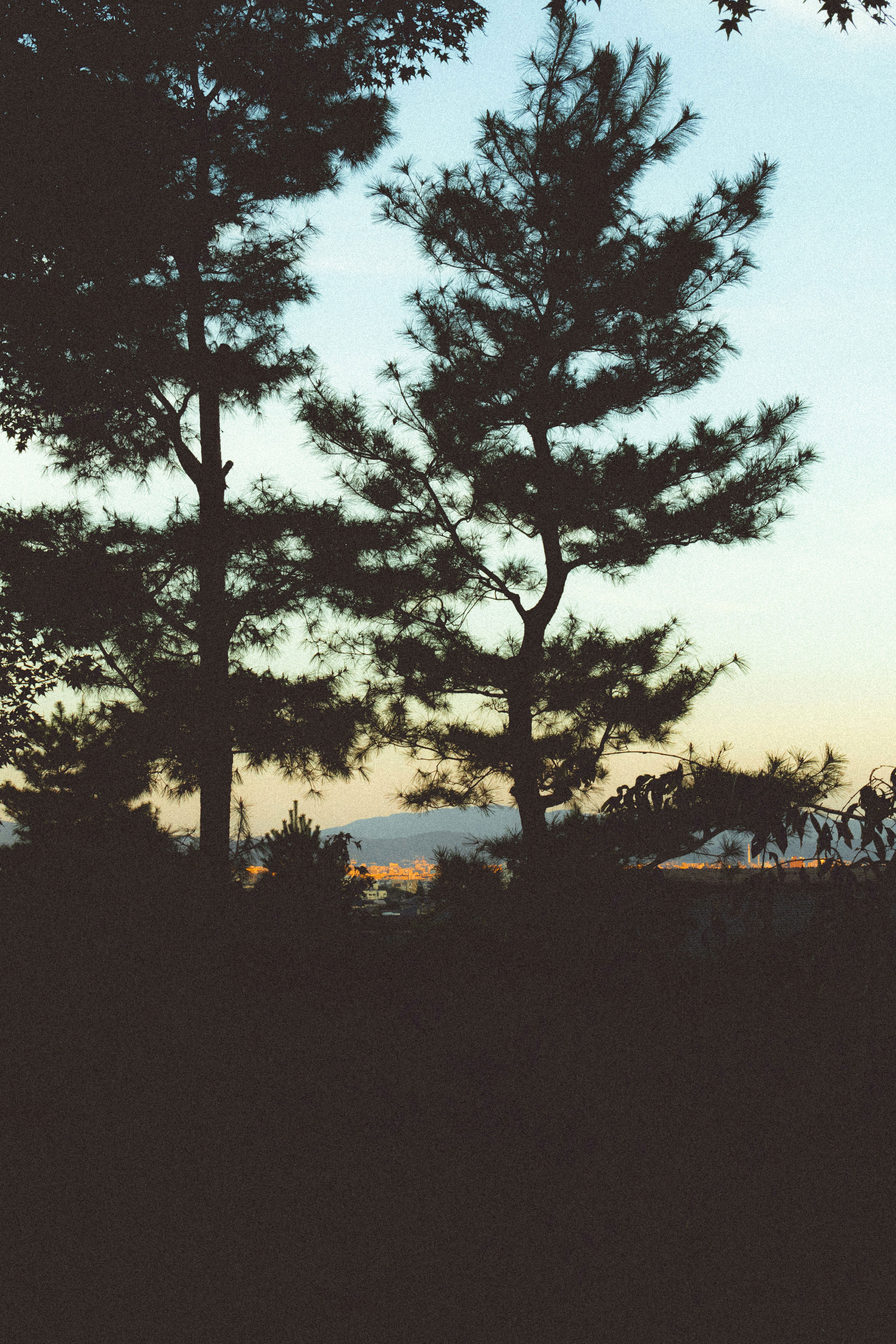 🌍L’importance de croire en soi 💪✨